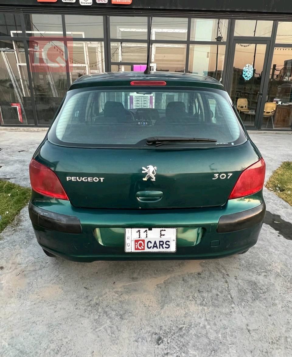 بيجو 307